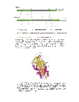 Bhagavan Medical Biochemistry 2001, page 1056